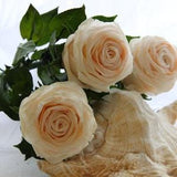 Cream Roses,Rose bouquet,Home Decor,Alternative bouquet,Handmade Deco Clay flowers,Cream roses,Home accents,Polymer Clay Flowers,Roses