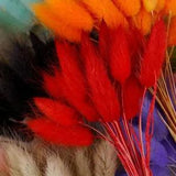 50pcs Natural Dried Flowers Colourful Artificial Fake Grass Long Bunches...