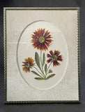 Pressed Gaillardia "Blanket Flower" Prairie Flower Matted In A Vintage Frame