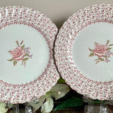 Vintage  Johnson Brothers Rose Bouquet 2 dinner plates Made in England  1970s