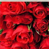 Decorative tile, 4" x 4", red rose blooms, rose bouquet, a dozen red roses, hybrid tea, multiple display options, coaster, Flowers_66