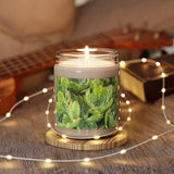 Scented Soy Candle, 9oz Choose from 5 different scents. Cats and Kittens plant picture adds to your rooms decor.