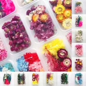1 Box Mixed Real Dried Flowers Material Package DIY Pendant Aromatherapy Candles