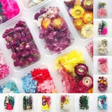 1 Box Mixed Real Dried Flowers Material Package DIY Pendant Aromatherapy Candles