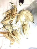 Natural Dried Corn Husks 5 Floral Crafts Birds No Silk