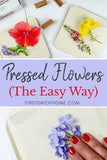 How to Make DIY Pressed Flower Art - The Easy Way Flower Delivery