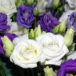 LISANTHUS Double Flowers Echo Mix Lisianthus Eustoma 5 Seeds