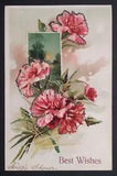 Best Wishes Mica Embellished Carnations Flowers Scenic Embossed Postcard 1900s b