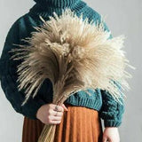 50/100PCS Natural Dried Pampas Grass Reed Home Wedding Decor Home Bunch Flower