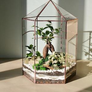 Minimalist decor terrarium Florarium "Greenhouse" ??C for plants lover/ glass container. New home gift