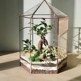 Minimalist decor terrarium Florarium 