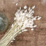 Dried Flowers White Pampas Grass Black Rabbit Tail Grass Artificial Bouquet Boho