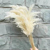 Artificial Pampas Grass White Dried Reed Flowers Bouquet  For Home Room Christma