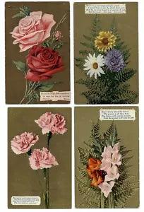 LOT OF 4 Flowers carnations daisy roses gladiolas poems c1910 postcards