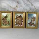 Vintage Russian Original Pressed Flower Framed Artwork Set Of 3 Signed Hand Made