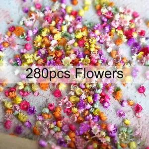 Assorted colorful dried flower pieces for resin craft, mixed sizes