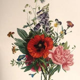 Vintage JUNE BOUQUET Wall Print - French Botanical Art by JL Prevost- Red Poppy Pink Peony Purple Foxglove- Spring Floral Arrangement- 14x10