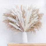 NEW LISTINGNatural Dried Pampas Grass Boho Home Decor Bouquet Phragmites Dried Flowers Bouq