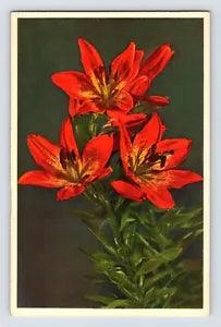Postcard Orange Lily Flower Thor Gyger Stehli Series 1940s Unposted