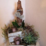Orchids & plants decoration/skewer tree