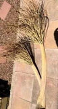 NEW LISTINGPalm Tree Date Palms, 4 FT+ Dried Palm, Vase D???cor, 2 Fanning Palms