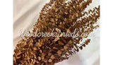 PRESERVED DYED WASHED YELLOW EUCALYPTUS FLORAL FOLIAGE FILLER FLOWER SCENTED