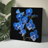 Blue Orchid Canvas Wall Art Orchid Purple Wall Flower Wall Art Floral Wall Art Orchid Wall Decor Orchid Art Print Painting black