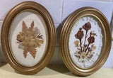 vintage framed pressed dried flowers Gold wood frame wall art floral botanical