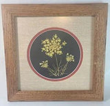Estate Dried Pressed Flowers Framed by Betty Glissendorf