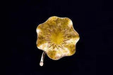 Pin Brooch Gold Tone Lily Pad Plant Metallic Etched Metal Vintage Unique BinF