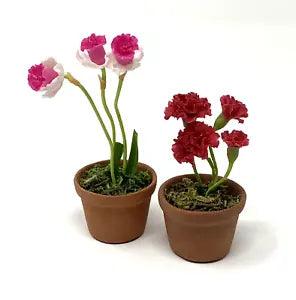 2 Dollhouse Decoration Miniature Clay Mini Plants Potted 1 Red Carnation 1 Tulip