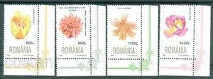 1998 Flowers, Dahlia ,Rose, Turk's cap lily, Tulip,Flora, Romania,Mi.5348,MNH/ll