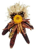 Ornamental Indian Corn Chili Peppers Sunflower Harvest Hanging Arrangement 8.5"