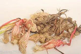 Dried Epiphyllum Oxypetalum Flowers Tan Hua Yi Xian Brahma Kamal Kaduphul