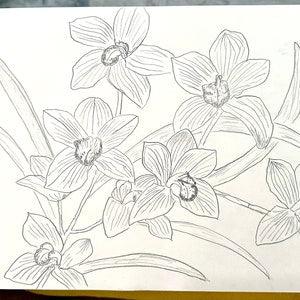 Genuinely hand drawn pencil artwork of Orchid Drawing. Black and White Wall Art