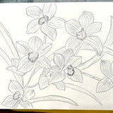 Genuinely hand drawn pencil artwork of Orchid Drawing. Black and White Wall Art