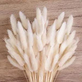 120 Bunny Tails Dried Flowers, Lagurus Pampas Grass, Bunny Tails White