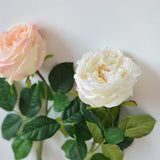 24" Austin Cabbage Roses, Garden Roses, Real Touch Roses, Blush Cream Ivory, Silk Roses, DIY Wedding Bouquets, Centerpieces