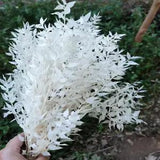 Dried Natural Leaves Wedding Arrangement Natural Flowers Dry Grass Bouquet Home