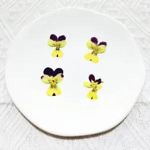 12PCS Real Pressed Dry Pansies/Violas Flower for art candle craft FSS47 #9
