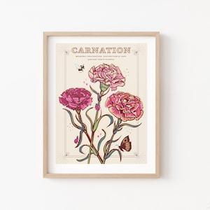 Carnations Wall Art Print, January Birth Flower Illustration Print