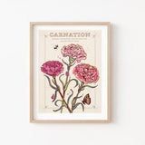 Carnations Wall Art Print, January Birth Flower Illustration Print
