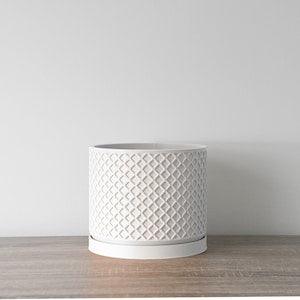 The Carolina Planter in White