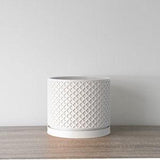 The Carolina Planter in White