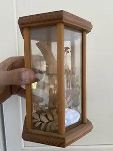 Vintage Dry Plants Flower wood Glass shadow Box Mcm Art Decor