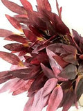 FEATHER LOOKING LEAF ARTIFICIAL FLOWERS BURGUNDY DRIED GREENERY WEDDING STEM