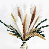 Natural Dried Flowers Bouquet 17inch Dried Reed Pampas Grass White and Natural