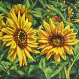 Sunflower Garden