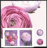 Canada sc#3375-3376 Ranunculus : Persian Buttercup, Pair from Booklet, Mint-NH
