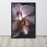 Orchid Marcro Photography Framed Artwork, Framed Art, Home Decor, Wall Decor, Wall Art, Framed Artwork, Orchid, Macro Photography